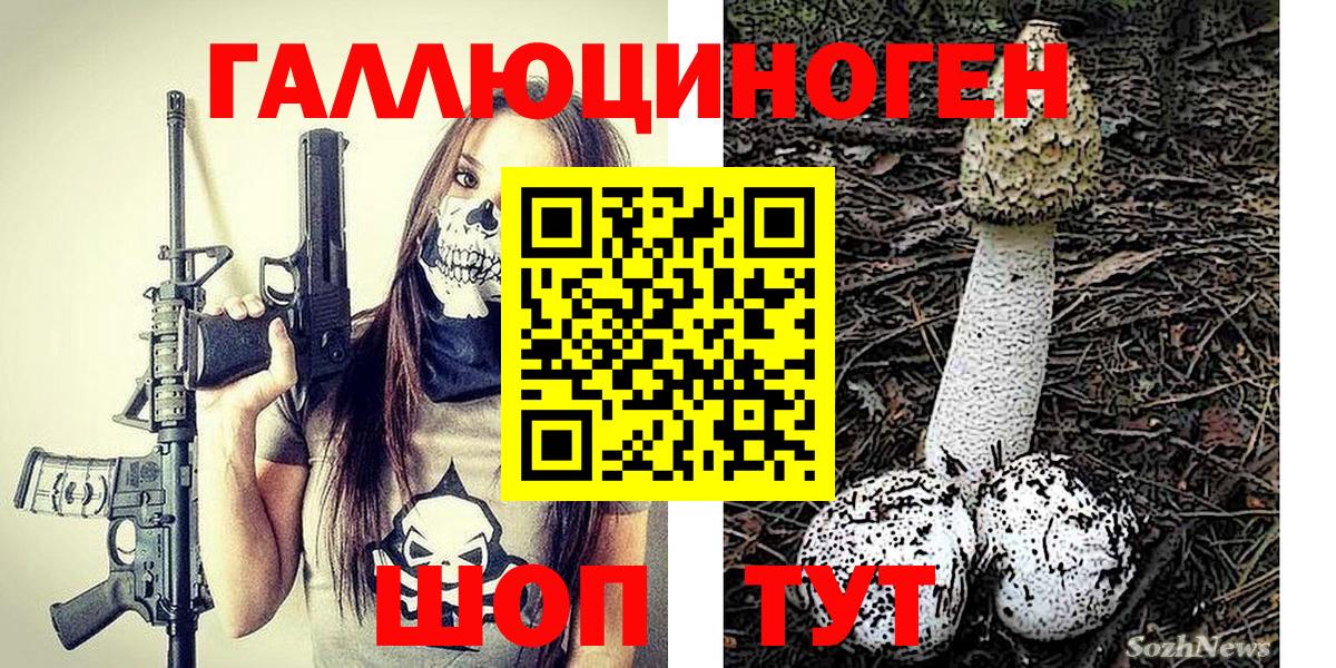 Псилоцибиновые грибы Psilocybine cubensis  Вход с VPN  Калуга 