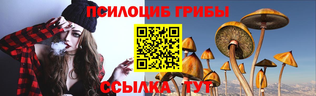 Псилоцибиновые грибы мухоморы Калуга